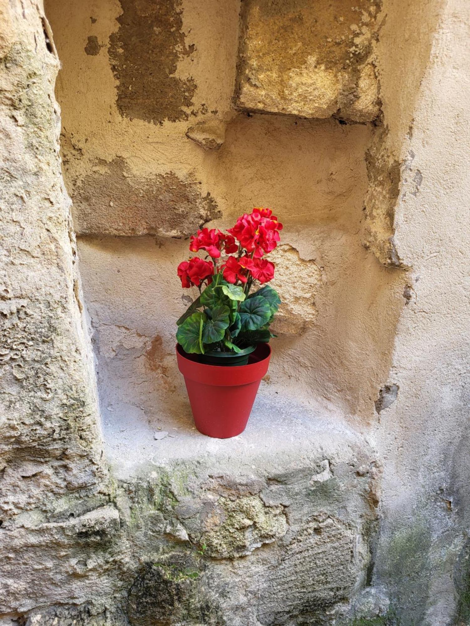 Studio/2 Pieces, Terrasse Avignon Luaran gambar